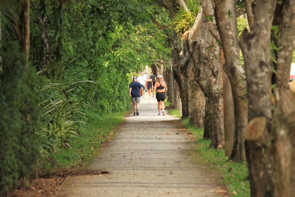 Caminho arborizado para caminhadas na Riviera